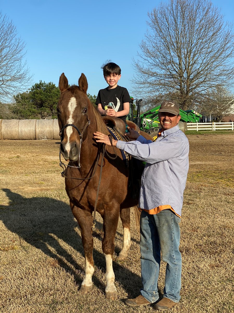 Tommy Neergaard working with horses