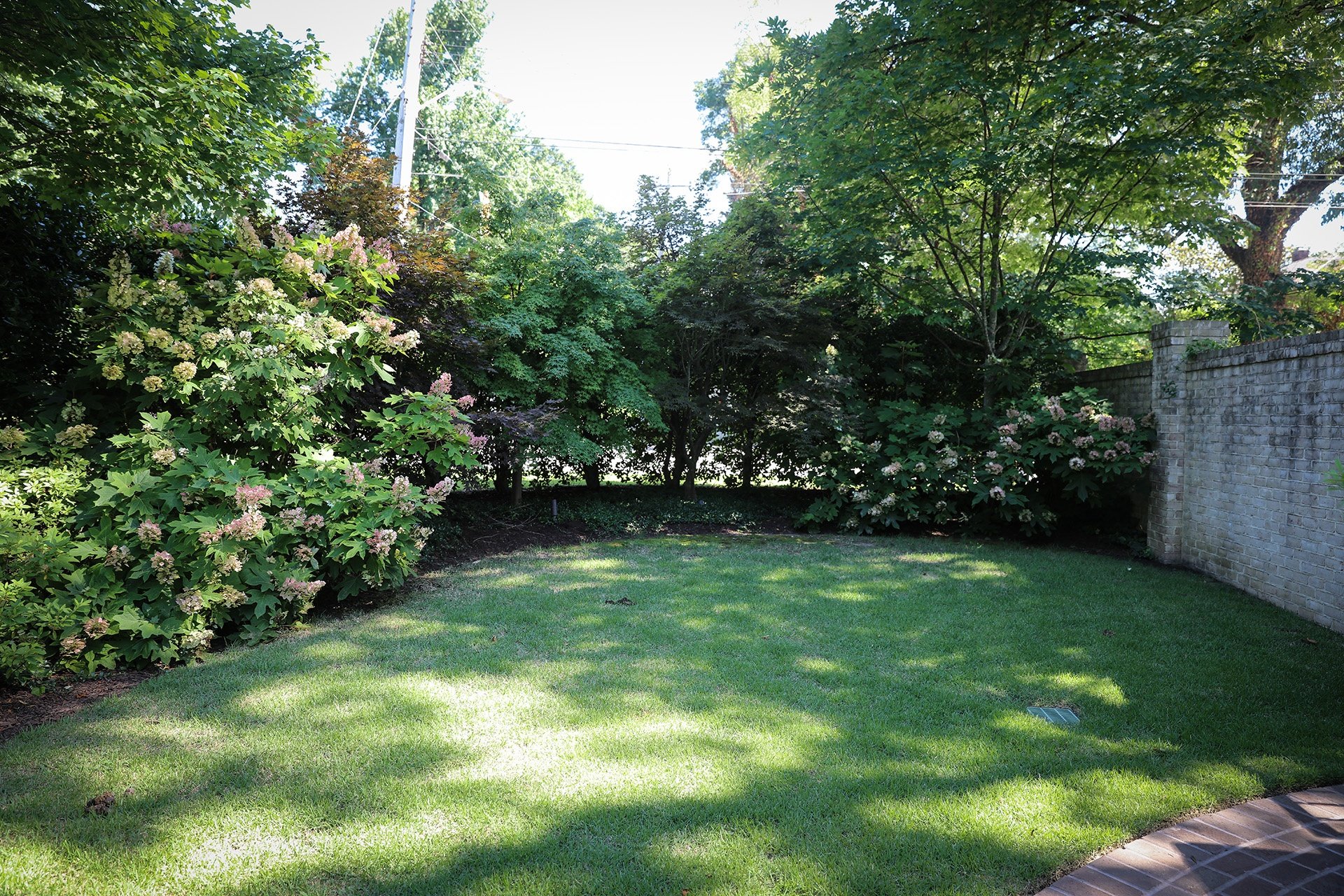 5-reasons-to-reduce-your-lawn-area